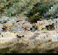 Boonoo Boonoo National Park - Lightning Ridge Tourism