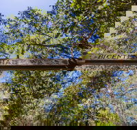 Bribie Island Bicentennial Trails - Lightning Ridge Tourism