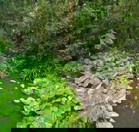 Brindle Creek Picnic Area - Lightning Ridge Tourism