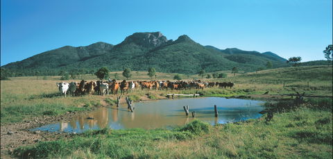 Bundaberg- Biggenden- Mount Perry Circle - Lightning Ridge Tourism 0