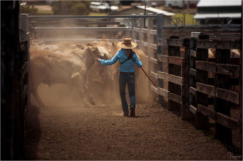 Bundaberg- Biggenden- Mount Perry Circle - Lightning Ridge Tourism 1