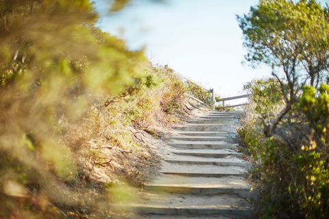 Coppins Walk Track (part Of The Coastal Walk) - Lightning Ridge Tourism 0