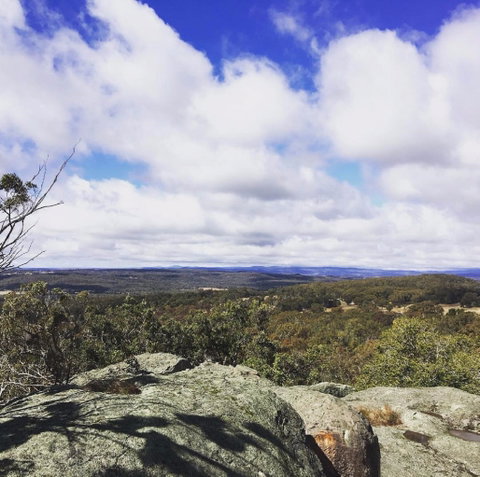 Donnellys Castle - Lightning Ridge Tourism 0