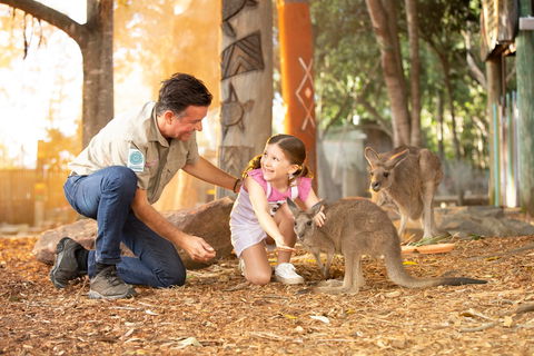Dreamworld - Lightning Ridge Tourism 2