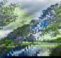 Gold Coast Regional Botanic Gardens - Lightning Ridge Tourism