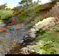 Gold Panning Deep Creek - Lightning Ridge Tourism