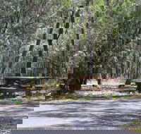 Goonoowigall State Conservation Area - Lightning Ridge Tourism