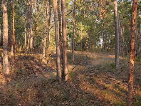 Grande Park - Lightning Ridge Tourism 2