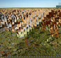 Gulf Region - Lightning Ridge Tourism