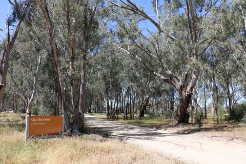 Gunbower Island Forest Drive - Lightning Ridge Tourism 2