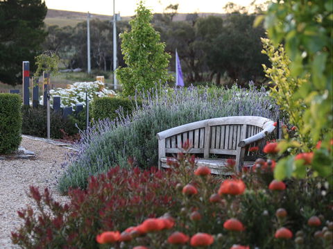 John Lacey's Studio And Green Tank Gallery - Lightning Ridge Tourism 1