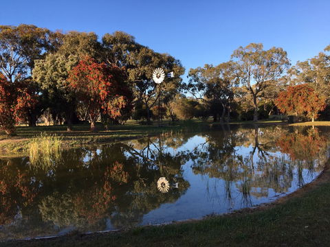 Jubilee Park - Lightning Ridge Tourism 0