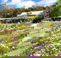 Kate's Berry Farm - Lightning Ridge Tourism
