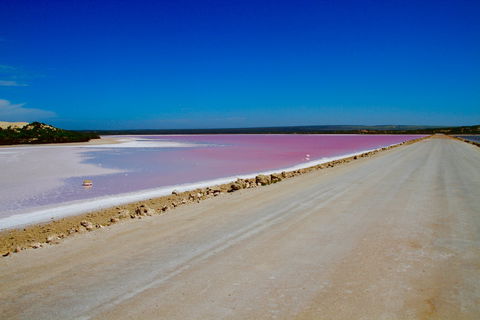 Lake McDonnell - Lightning Ridge Tourism 0