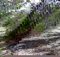 Lanky's Walk - Lightning Ridge Tourism