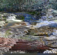 Liffey Falls Reserve - Lightning Ridge Tourism