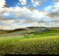 Lions Park Hodgson Vale - Lightning Ridge Tourism