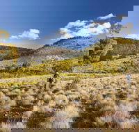 Little Mountain Walking Track - Lightning Ridge Tourism