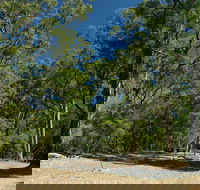 Maidens Tuart Forest - Lightning Ridge Tourism