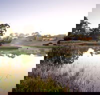 McClelland Sculpture Park  Gallery - Lightning Ridge Tourism