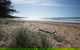Mon Repos Beach - thumb 1