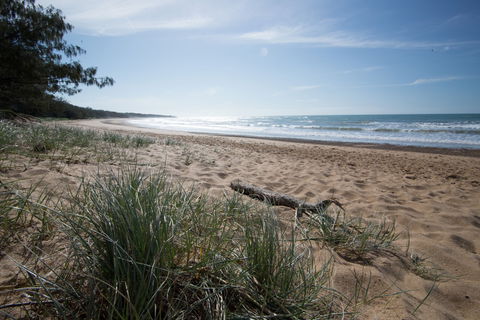 Mon Repos Beach - Lightning Ridge Tourism 1