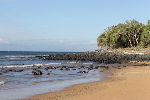 Mon Repos Beach - Lightning Ridge Tourism 2