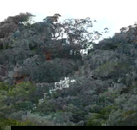 Mount Yarrowyck Nature Reserve - Lightning Ridge Tourism