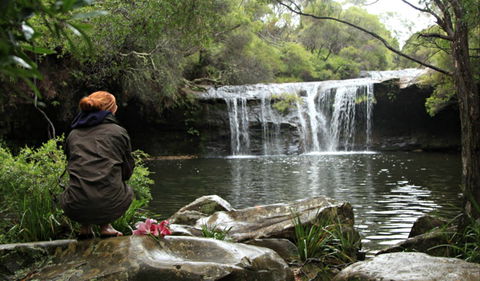 Nellies Glen Picnic Area - Lightning Ridge Tourism 0