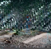 Nerang Mountain Bike Trails - Lightning Ridge Tourism