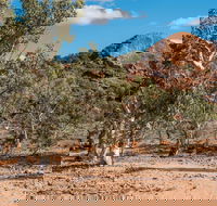 Old Coach Road Drive - Lightning Ridge Tourism