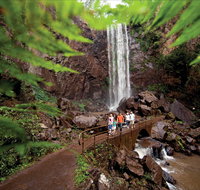 Queen Mary Falls circuit Main Range National Park - Lightning Ridge Tourism