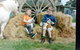 Rain Hayne And Shine Farmyard - thumb 0