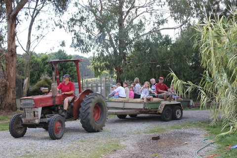 Rain Hayne And Shine Farmyard - Lightning Ridge Tourism 1
