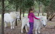 Rain Hayne And Shine Farmyard - thumb 2