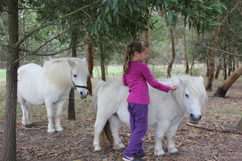 Rain Hayne And Shine Farmyard - Lightning Ridge Tourism 2