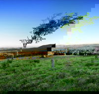 Ravensbourne - Lightning Ridge Tourism