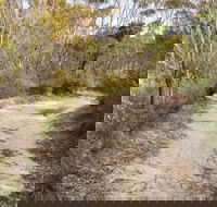 Red Rocks trig walking track - Lightning Ridge Tourism
