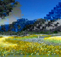 Shearer's Way - Lightning Ridge Tourism