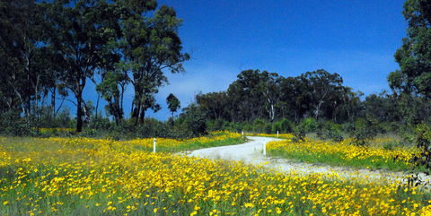 Shearer's Way - Lightning Ridge Tourism 0