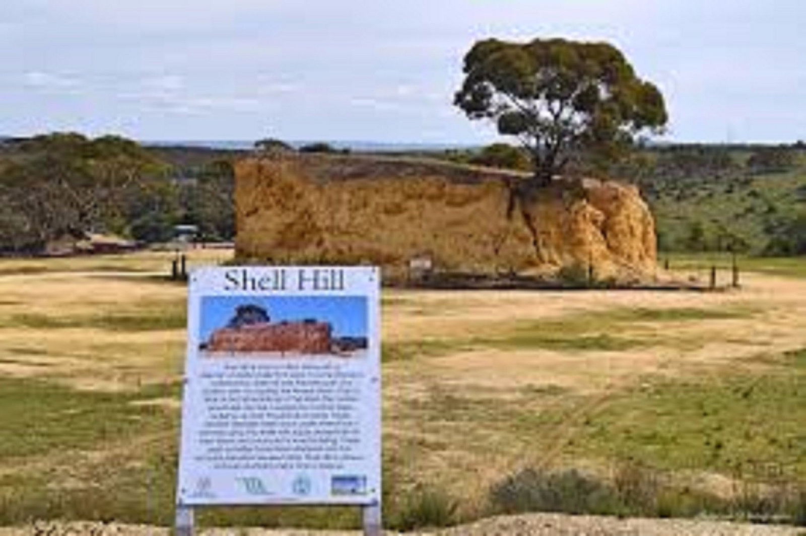 Wongulla SA Lightning Ridge Tourism