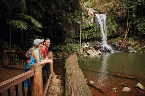 Tamborine National Park - Lightning Ridge Tourism 1