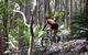 Tathra Beach - thumb 1
