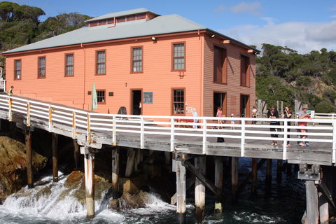 Tathra Beach - Lightning Ridge Tourism 2