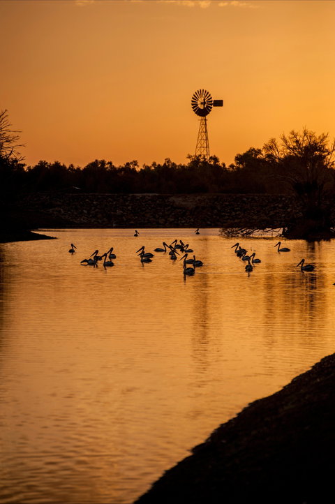Thomson River, Longreach - Lightning Ridge Tourism 2