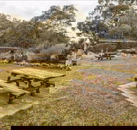 Thredbo River picnic area - Lightning Ridge Tourism