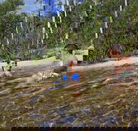 Tjaynera Falls Sandy Creek - Lightning Ridge Tourism