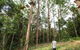 TreeTop Challenge - Sunshine Coast - thumb 1