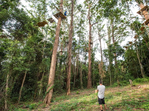 TreeTop Challenge - Sunshine Coast - Lightning Ridge Tourism 1