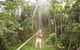 TreeTop Challenge - Sunshine Coast - thumb 2